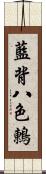 藍背八色鶇 Scroll