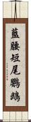 藍腰短尾鸚鵡 Scroll