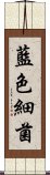 藍色細菌 Scroll