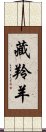 藏羚羊 Scroll