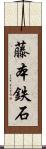 藤本鉄石 Scroll
