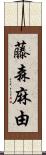 藤森麻由 Scroll