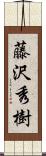 藤沢秀樹 Scroll