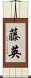 藤英 Scroll