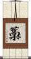 藳 Scroll