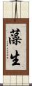 藻生 Scroll