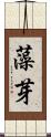 藻芽 Scroll