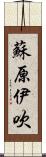 蘇原伊吹 Scroll