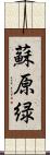 蘇原緑 Scroll