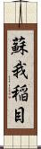 蘇我稲目 Scroll