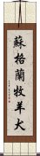 蘇格蘭牧羊犬 Scroll