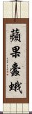 蘋果蠹蛾 Scroll