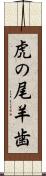 虎の尾羊歯 Scroll