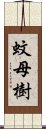 蚊母樹 Scroll