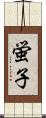 蛍子 Scroll