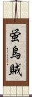 蛍烏賊 Scroll