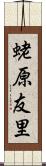 蛯原友里 Scroll