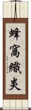 蜂窩織炎 Scroll