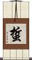 蜇 Scroll