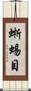 蜥蜴目 Scroll