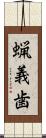 蝋義歯 Scroll