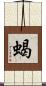 蝎 Scroll