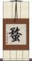 蝥 Scroll