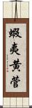 蝦夷黄菅 Scroll