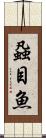 蝨目魚 Scroll