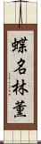 蝶名林薫 Scroll