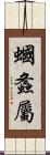 蟈螽屬 Scroll