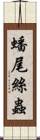 蟠尾絲蟲 Scroll