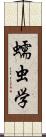 蠕虫学 Scroll