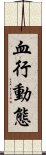 血行動態 Scroll