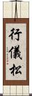 行儀松 Scroll