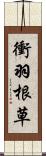 衝羽根草 Scroll