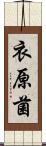 衣原菌 Scroll