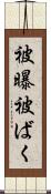 被曝 Scroll