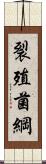 裂殖菌綱 Scroll