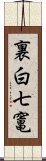 裏白七竃 Scroll