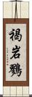 褐岩鷚 Scroll