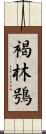 褐林鴞 Scroll