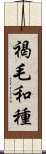 褐毛和種 Scroll