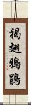 褐翅鴉鵑 Scroll