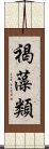 褐藻類 Scroll