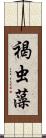 褐虫藻 Scroll