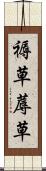 褥草 Scroll