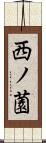 西ノ薗 Scroll