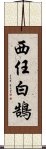 西任白鵠 Scroll