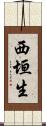 西垣生 Scroll
